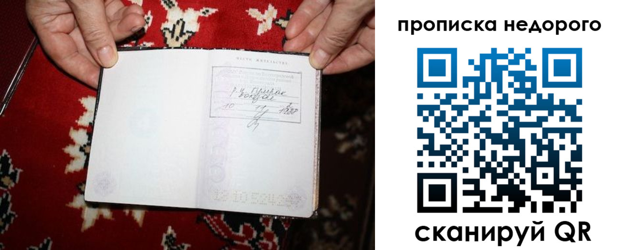 прописка гарантия в Дзержинске